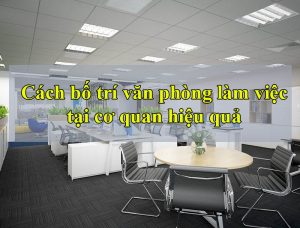 Cách bố trí phòng làm việc tại cơ quan hiệu quả – tăng năng suất làm việc